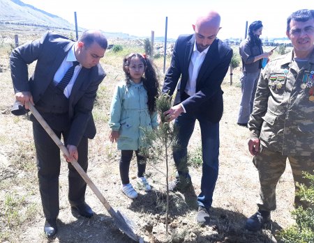 Faiq Əhmədov aksiyasında iştirak etmişdir -FOTOLAR